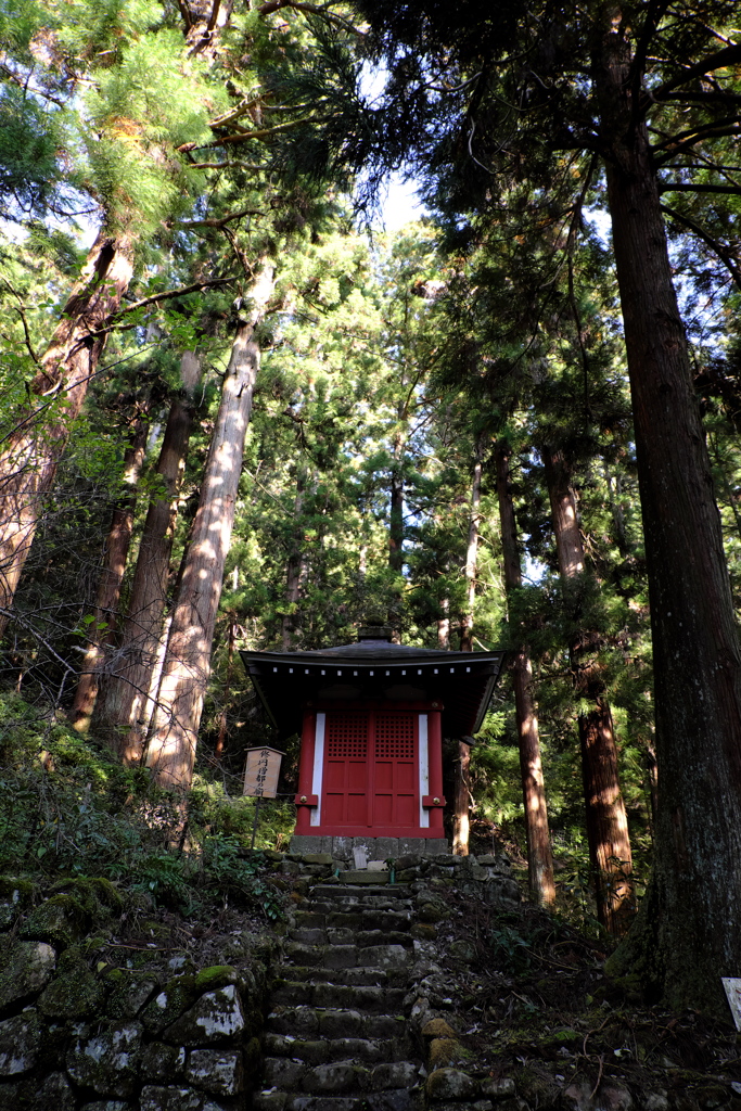 19、女人高野　晩秋の室生寺