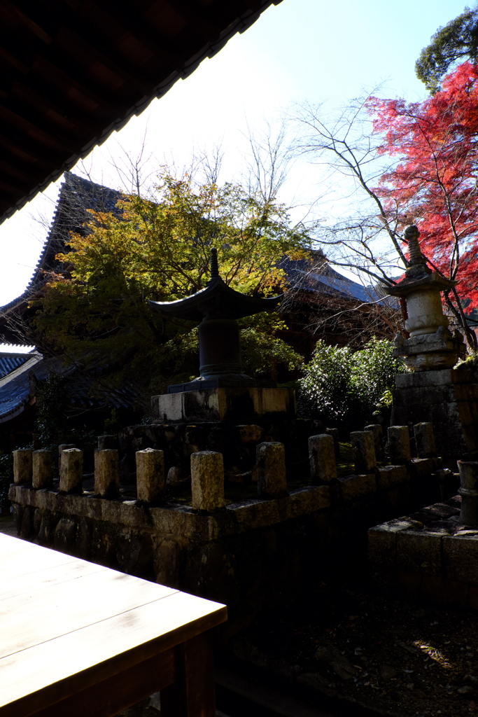 71、晩秋の真言宗豊山派総本山 長谷寺