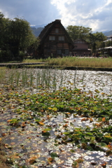 白川郷 秋近し