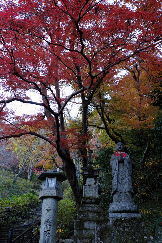 140、晩秋の真言宗豊山派総本山 長谷寺