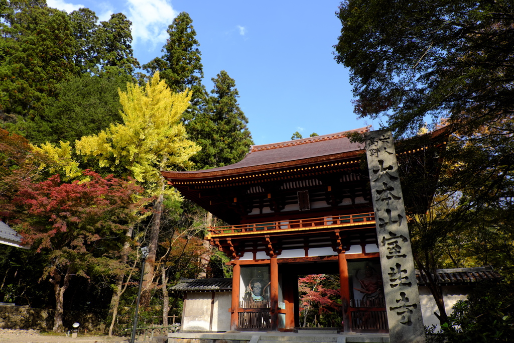 6、女人高野　晩秋の室生寺