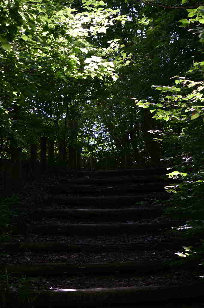 馬見丘陵公園にて