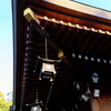 55、晩秋の三輪明神　大神神社