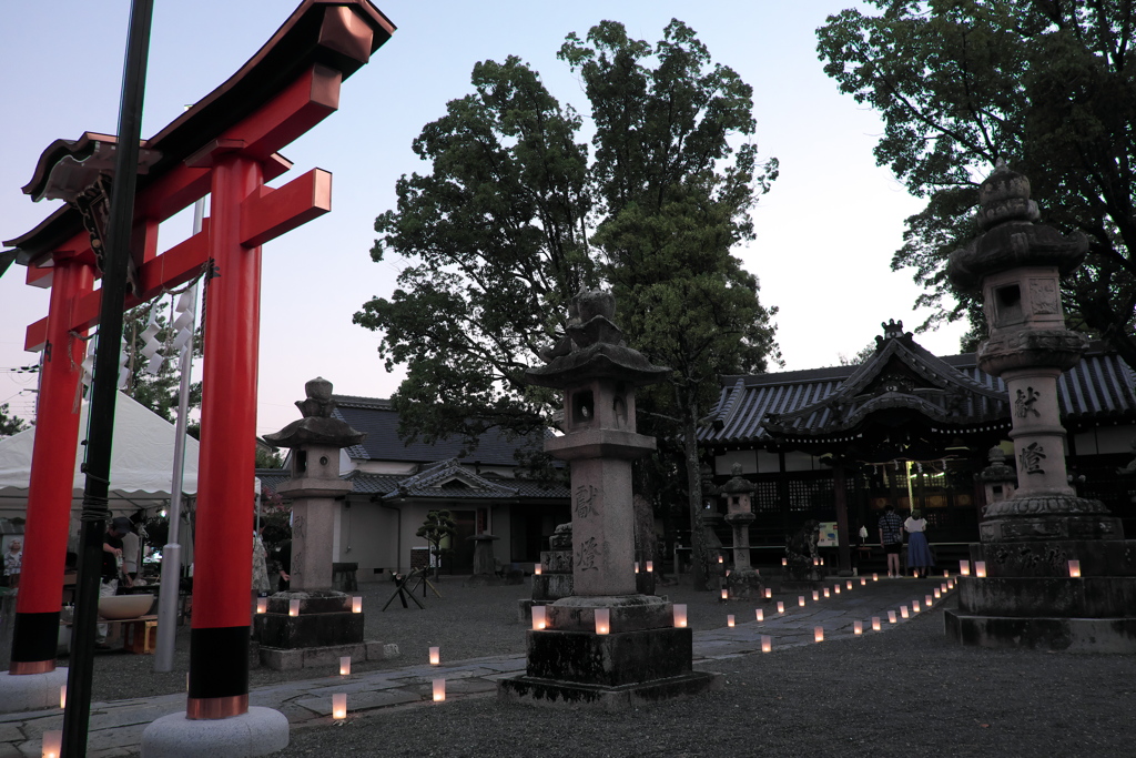 春日神社　願い　今井町灯火会