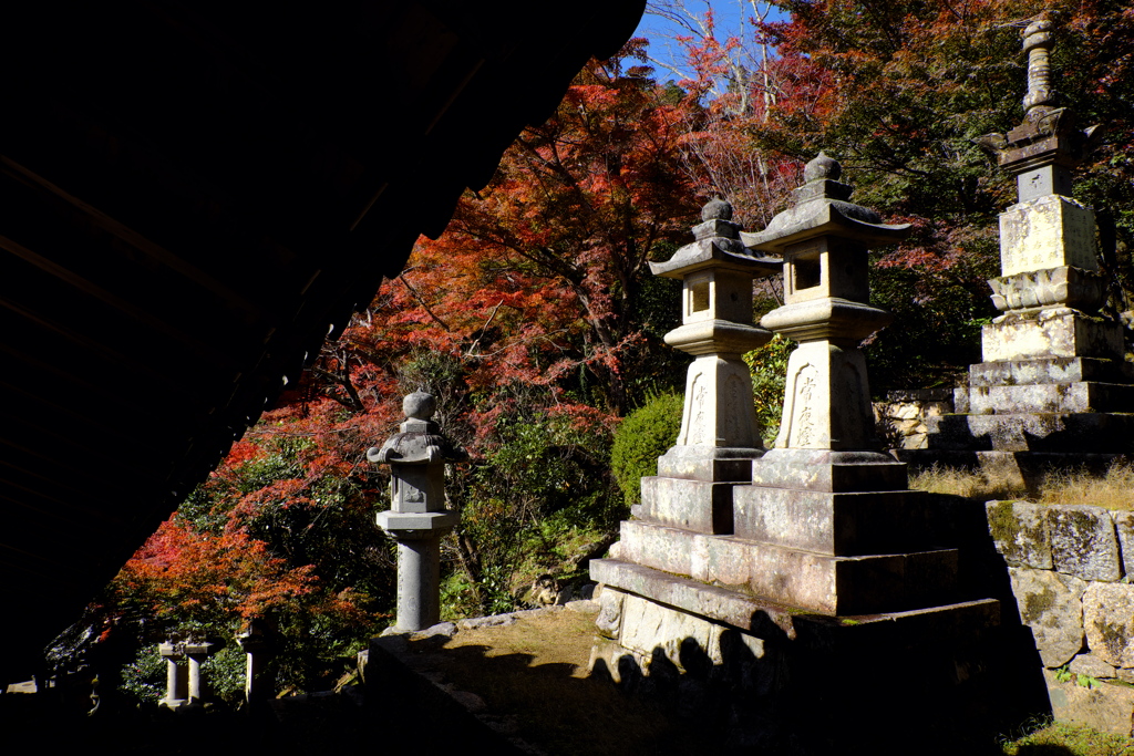 44、晩秋の真言宗豊山派総本山 長谷寺