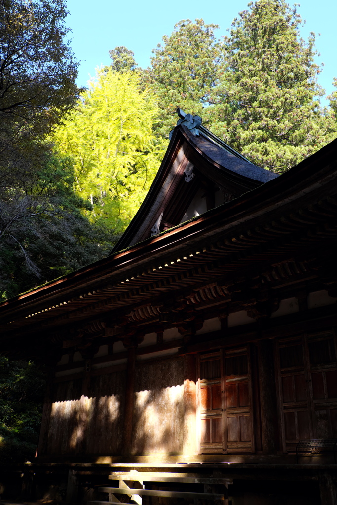 26、女人高野　晩秋の室生寺