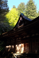 26、女人高野　晩秋の室生寺