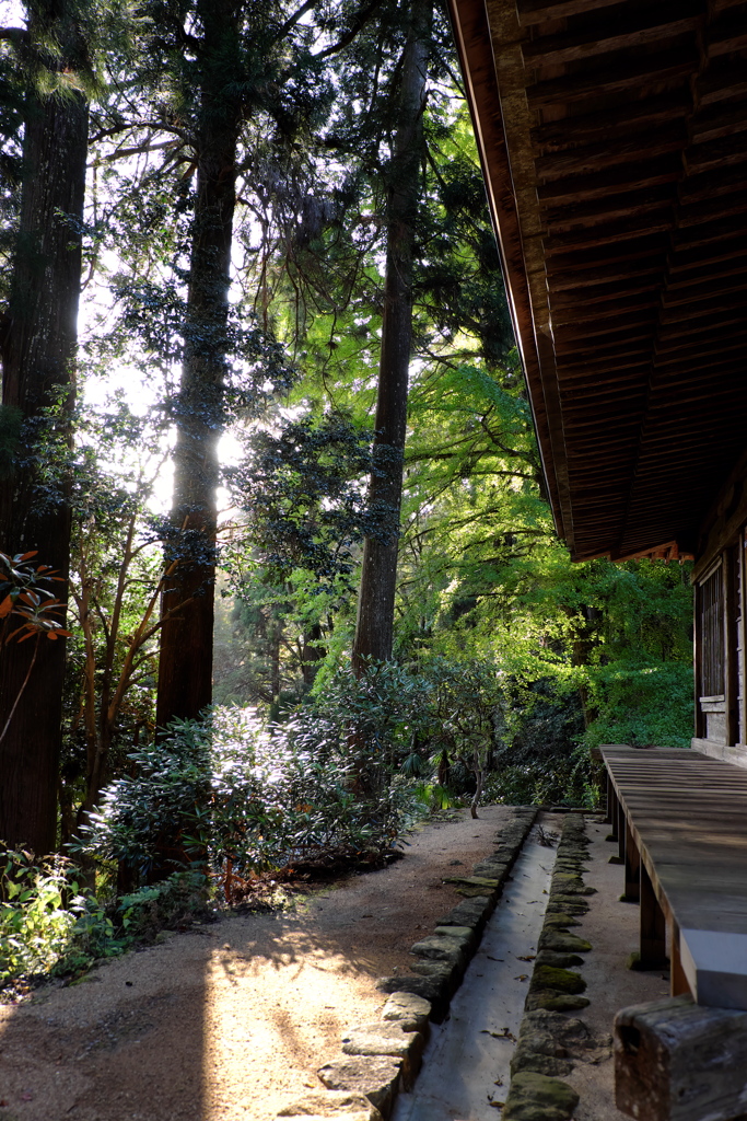 56、女人高野　晩秋の室生寺