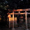 66、晩秋の三輪明神　大神神社