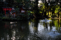 39、晩秋の三輪明神　大神神社