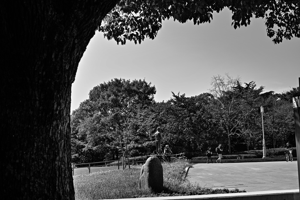 天王寺公園憩いの場です!!