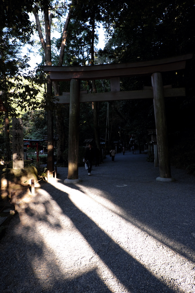 45、晩秋の三輪明神　大神神社