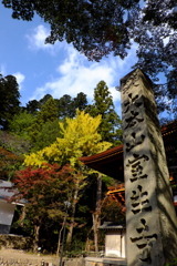 7、女人高野　晩秋の室生寺