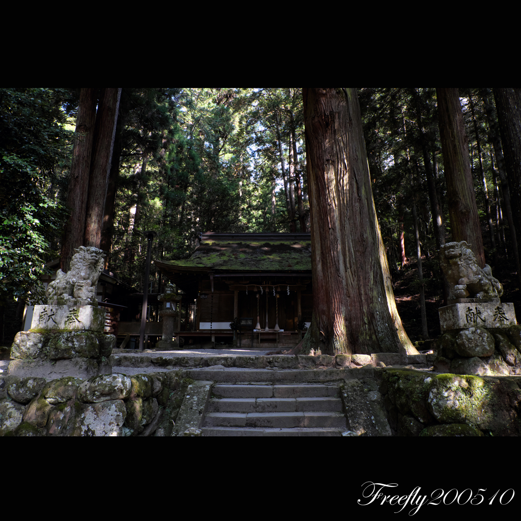 11、初秋の室生龍穴神社