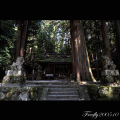 11、初秋の室生龍穴神社