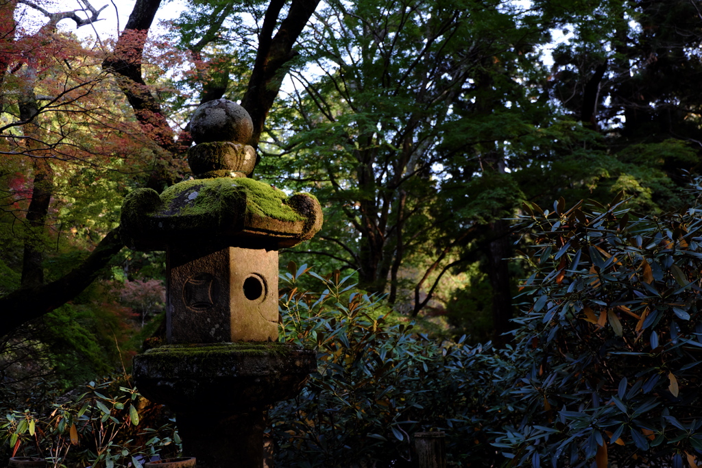 51、女人高野　晩秋の室生寺