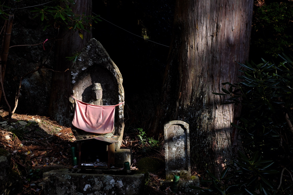 47、女人高野　晩秋の室生寺