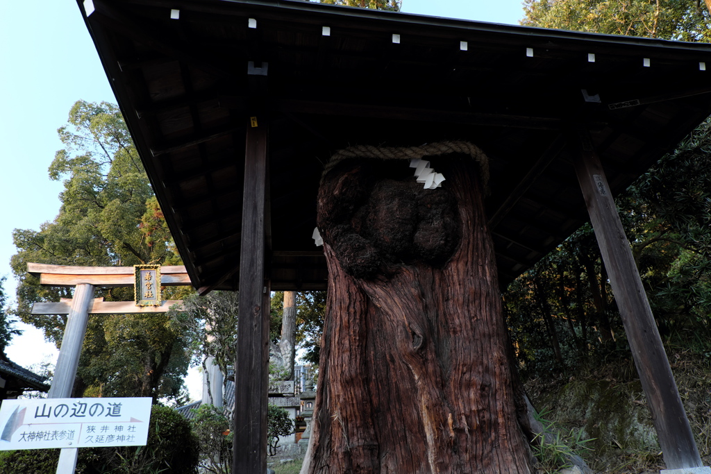 62、晩秋の三輪明神　大神神社