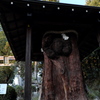 62、晩秋の三輪明神　大神神社