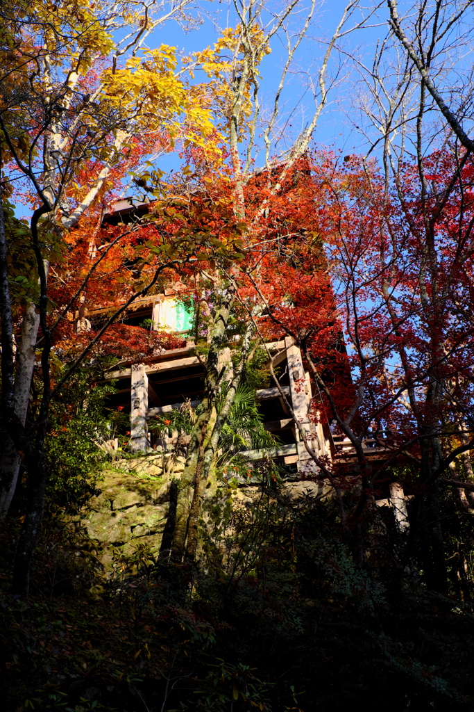 130、晩秋の真言宗豊山派総本山 長谷寺