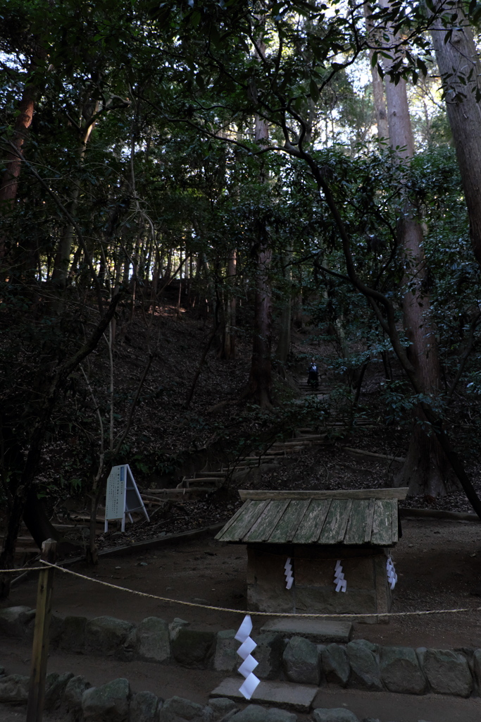 34、晩秋の三輪明神　大神神社