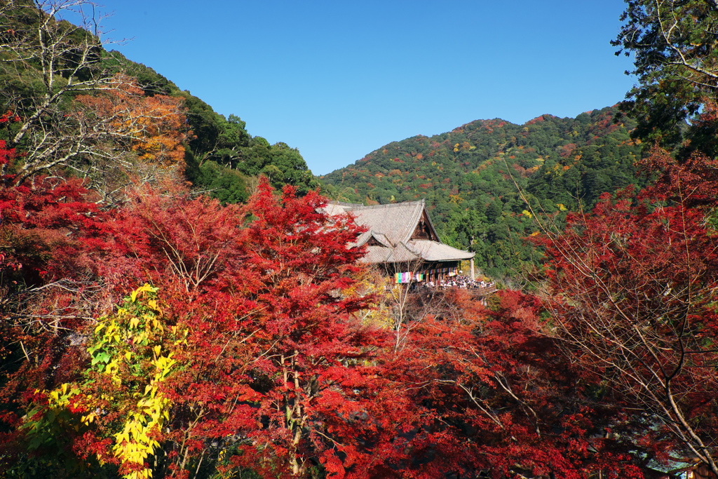 110、晩秋の真言宗豊山派総本山 長谷寺