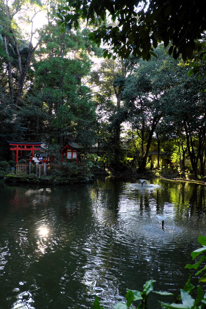 37、晩秋の三輪明神　大神神社