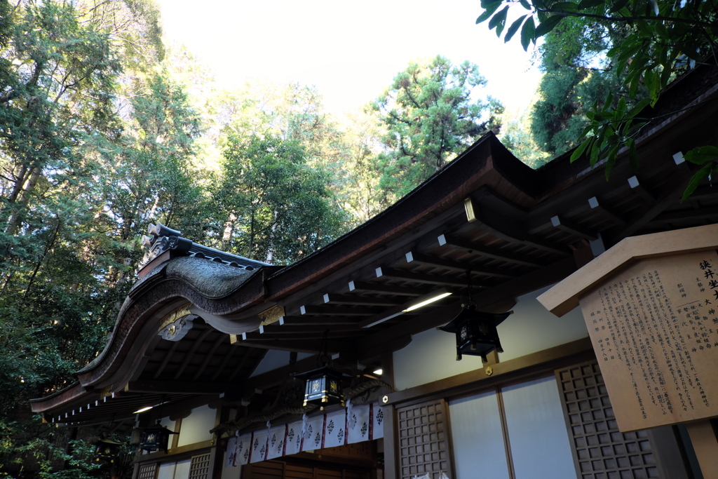 33、晩秋の三輪明神　大神神社