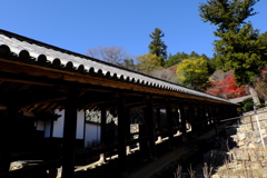 17、晩秋の真言宗豊山派総本山 長谷寺