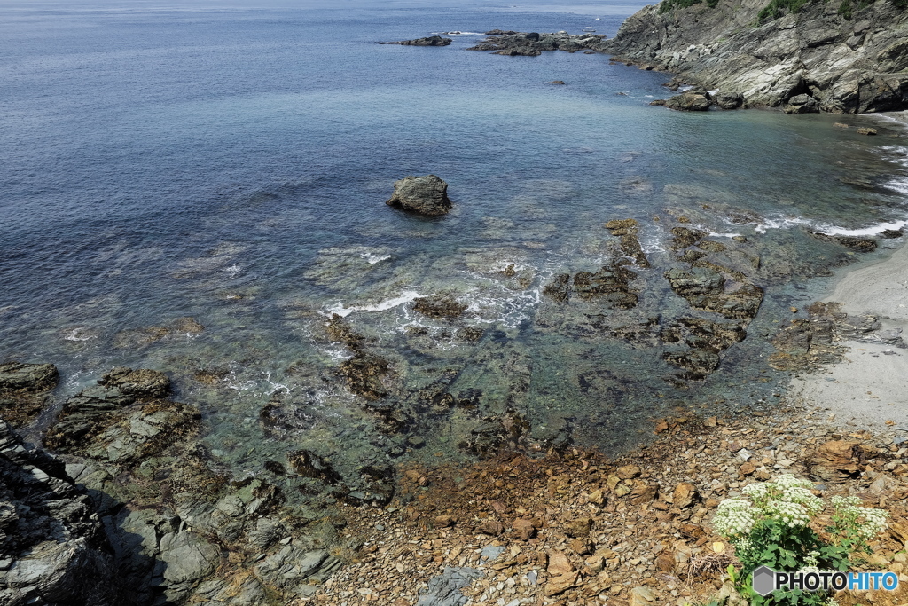 佐田岬 岩場