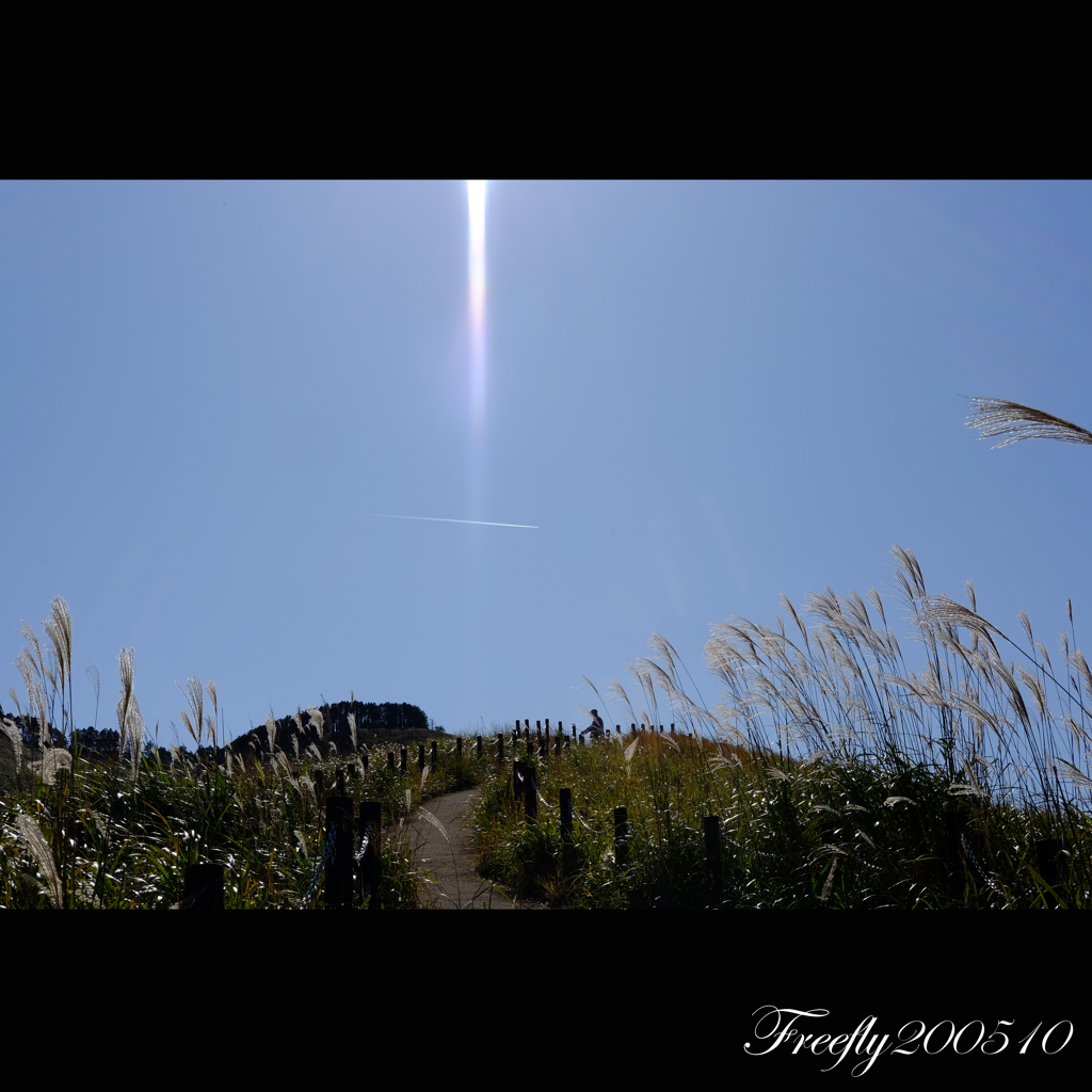 9.初秋 曽爾高原にて