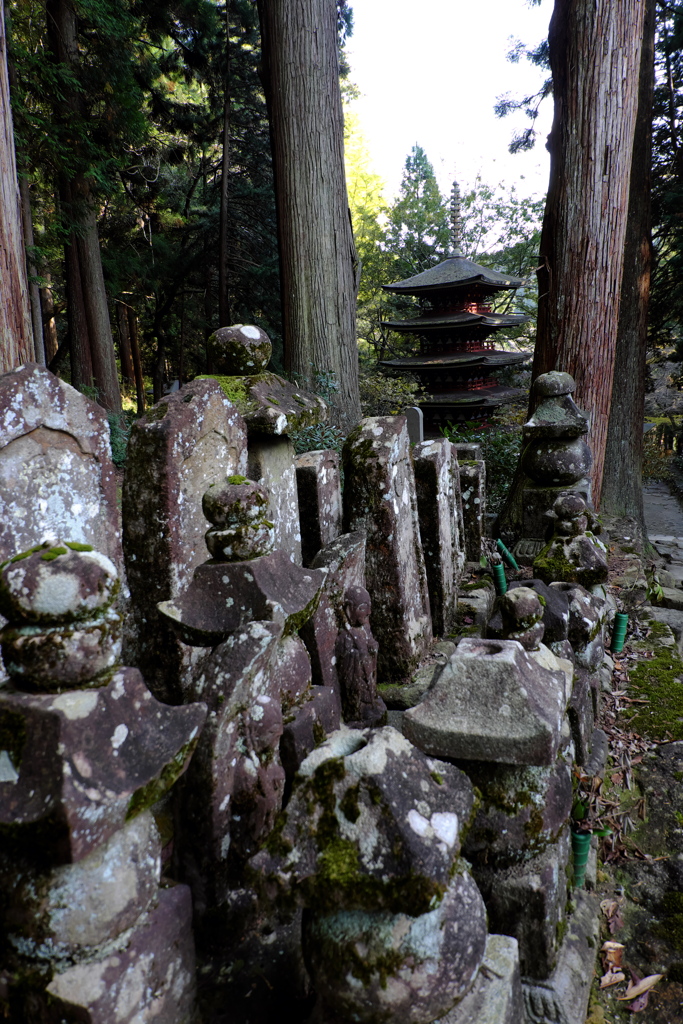 32、女人高野　晩秋の室生寺