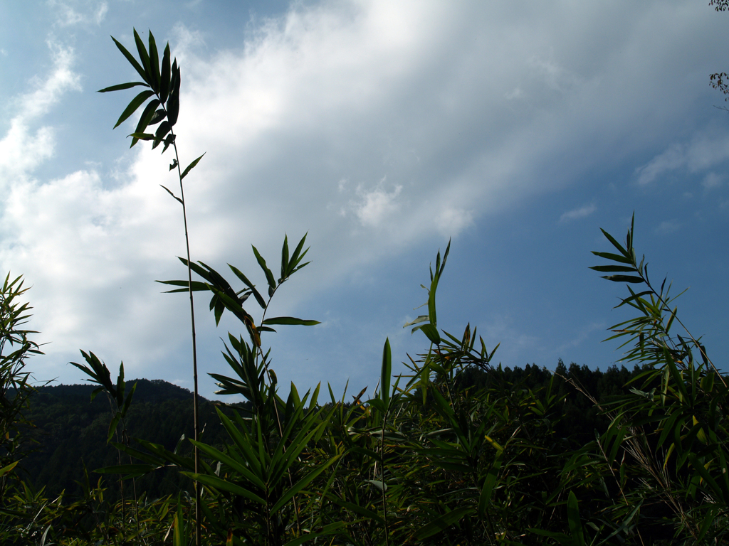 3、山々に囲まれた幻想的な鏡面池 龍王ヶ淵