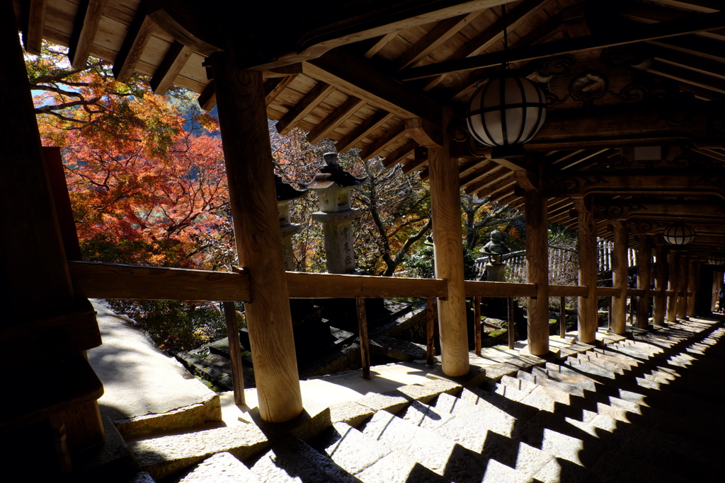 47、晩秋の真言宗豊山派総本山 長谷寺