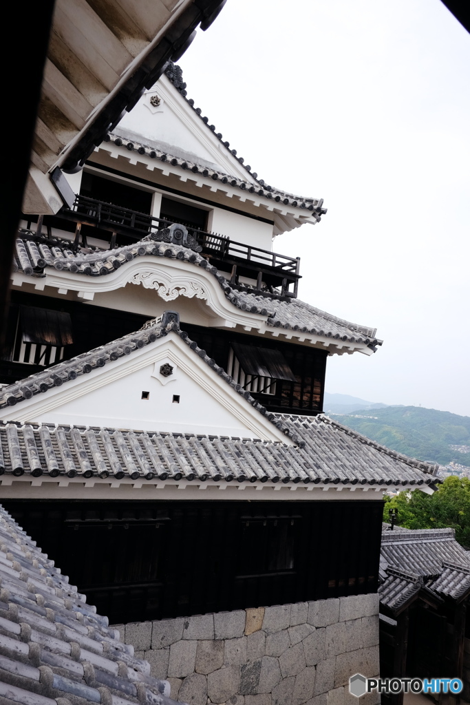 愛媛県 松山城 V
