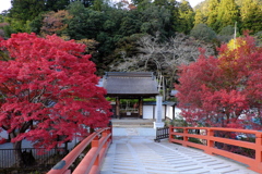 0、女人高野　晩秋の室生寺