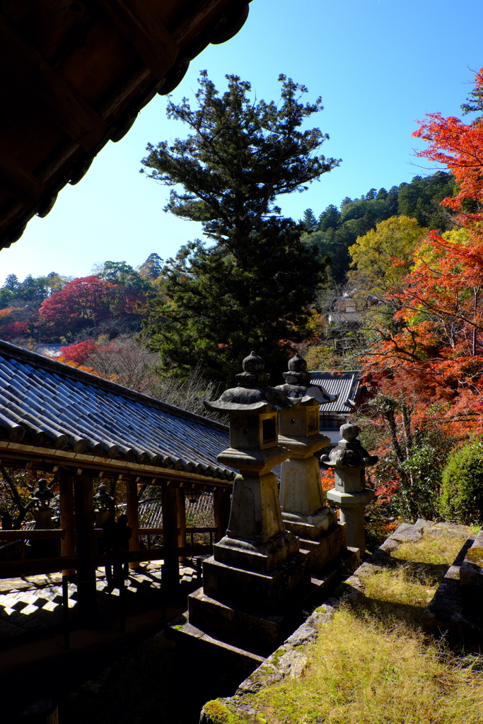 48、晩秋の真言宗豊山派総本山 長谷寺