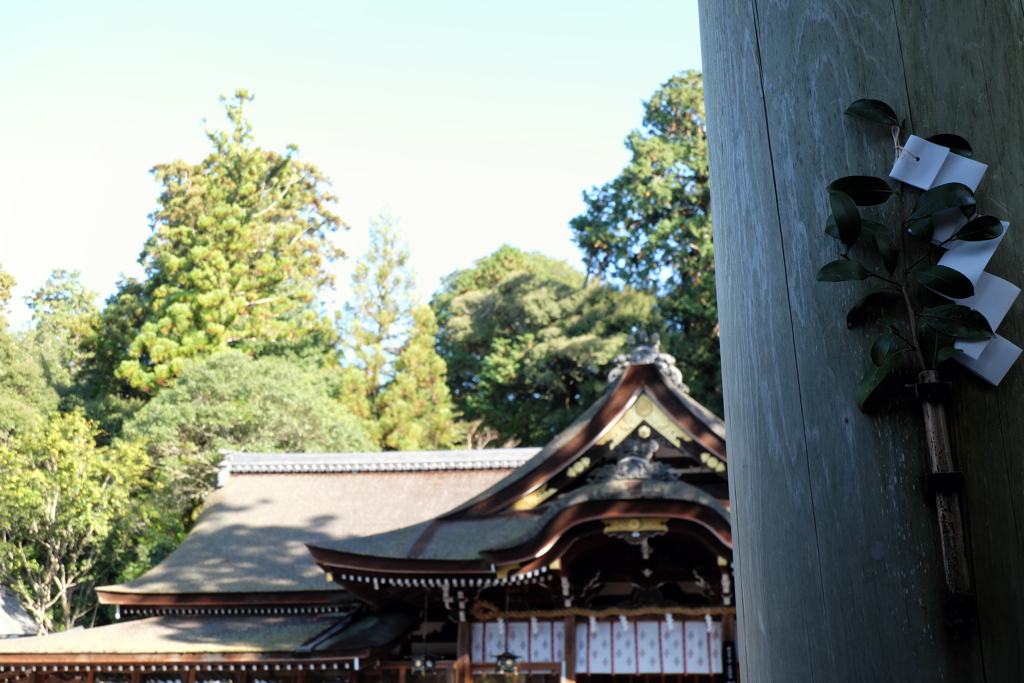 18、晩秋の三輪明神　大神神社