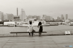 Yokohama Snapshot P