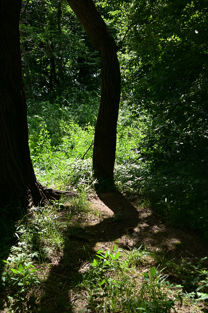 馬見丘陵公園