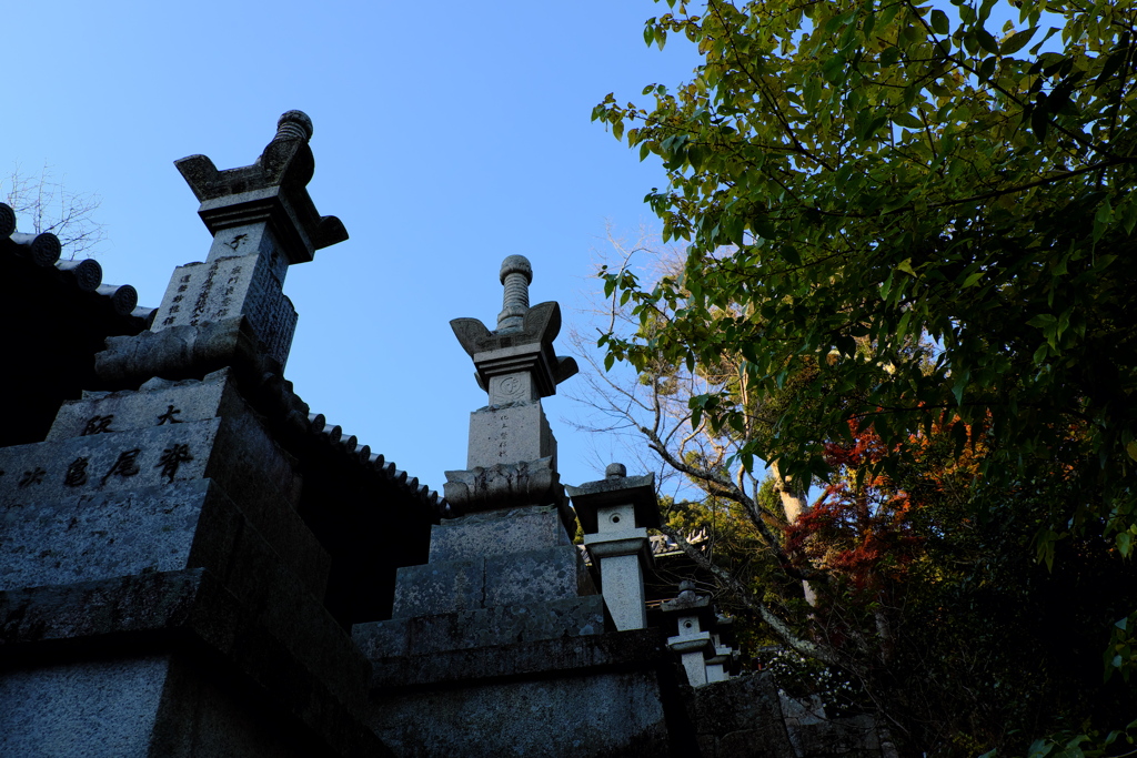 145、晩秋の真言宗豊山派総本山 長谷寺