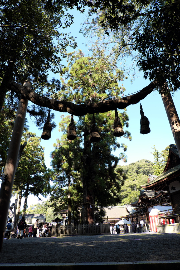 14、晩秋の三輪明神　大神神社