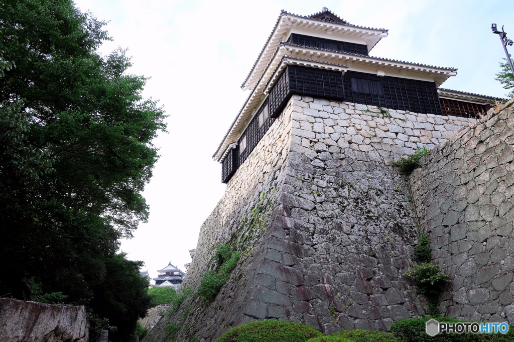 愛媛県 松山城 A