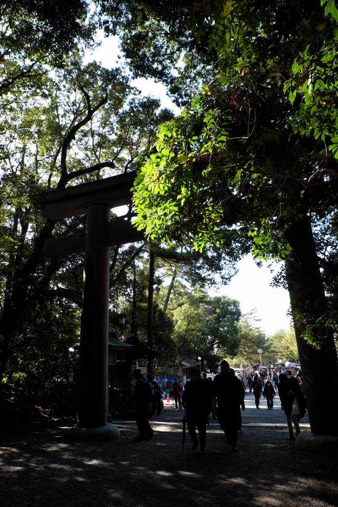 10、晩秋の三輪明神　大神神社