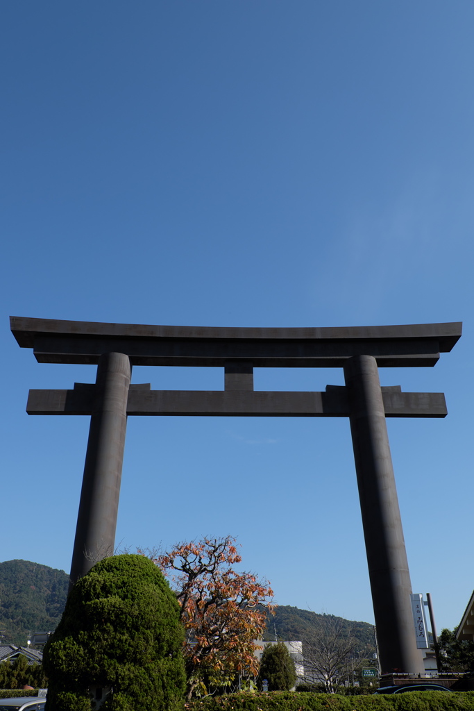 6、晩秋の三輪明神　大神神社