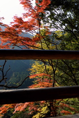 42、女人高野　晩秋の室生寺