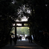 61、晩秋の三輪明神　大神神社