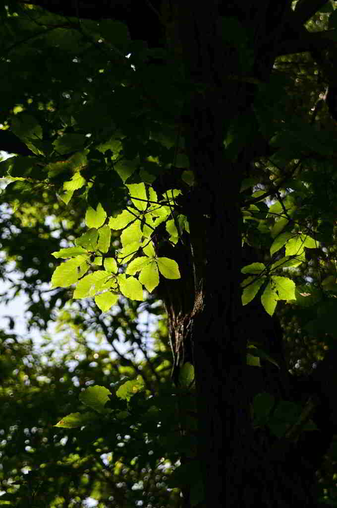 馬見丘陵公園にて