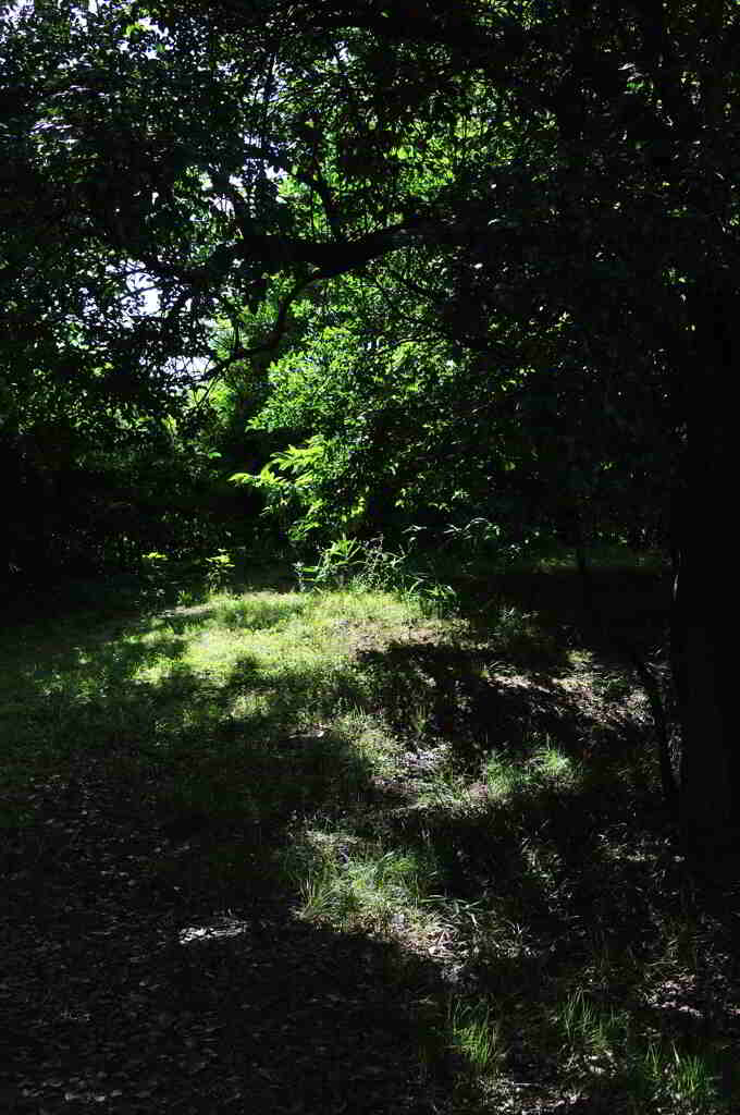 馬見丘陵公園にて