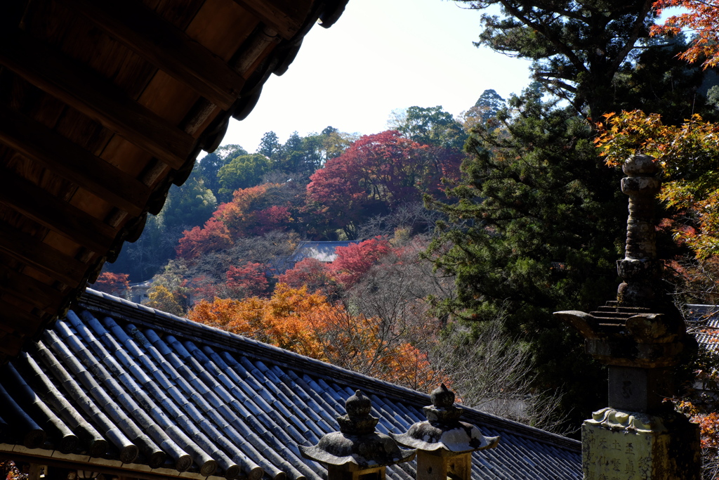 49、晩秋の真言宗豊山派総本山 長谷寺